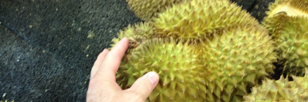 Fruit